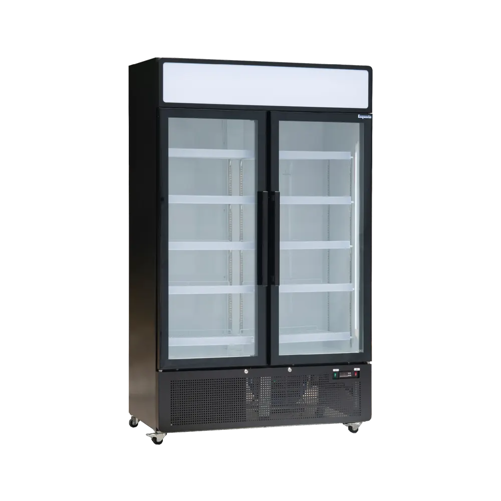 Exquisite Two Glass Door Upright Display Refrigerators – Black - DC1010PB